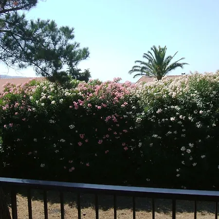 Italian Experience-casa Argentario Dom wakacyjny Giannella